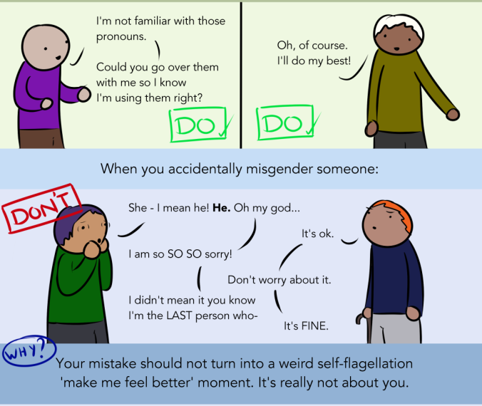 A webcomic where two good allies offer helpful feedback such as 'I'm not familiar with those pronouns. Could you go over them with me so I know I'm using them right?' and 'Oh, of course. I'll do my best!' Next is the advice 'When you accidentally misgender someone, your mistake should not turn into a weird self-flagellation 'make me feel better' moment. It's really not about you.'