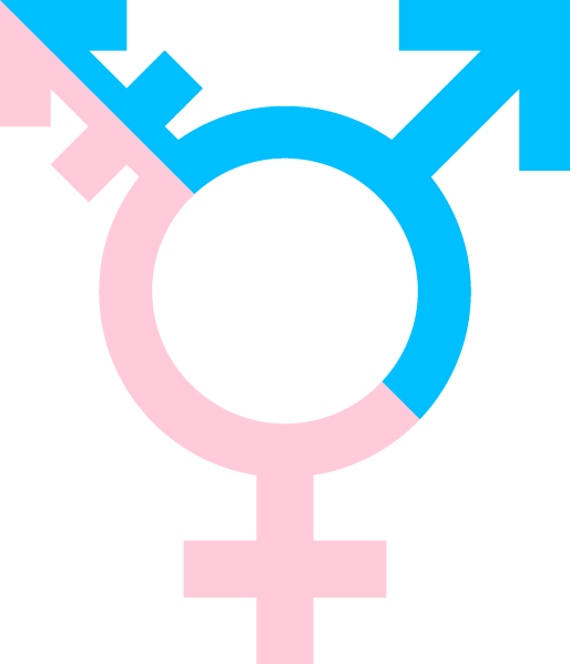Image of a the transgender symbol, combining the circle and arrow symbols for male and female.